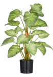 Creativ green Dirbtinis augalas &raquo;Syngonium&laquo; su gražus Blattwerk