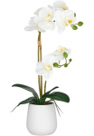 Creativ green Kunstorchidee &raquo;Orchidee Phalaenopsis&laquo; su dauerhafter Bl&uuml;tenpracht