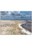 Artland Paveikslas ant drobės &raquo;Am gražiais Nordseestrand&laquo; Strand 1 Stk. dalys ant Holzrahmen gespannt