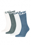 Calvin Klein Jeans Calvin KLEIN Džinsai Kojinės sportui &raquo;CKJ MEN SOCK RIBBON LOGO ECOM&laquo; 4 pora su Logoschriftzug