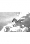 Papermoon Fototapetas &raquo;Pegasus juoda spalva & Wei&szlig;&laquo;