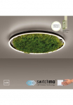 JUST LIGHT Lubinis &scaron;viestuvas &raquo;GREEN RITU&laquo; LED-Board 1 Stk. Warmwei&szlig;