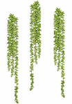 Creativ green Kunstranke &raquo;Sedumh&auml;nger&laquo; 3vnt. rinkinys