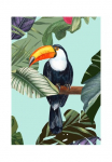 Komar Paveikslas &raquo;Toco Toucan&laquo; Natur 1 Stk. dalys paveikslas zur dekoracija - be grotelės