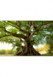 Papermoon Fototapetas &raquo;Peaceful Tree&laquo; glatt