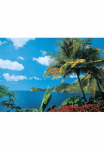 Papermoon Fototapetas &raquo;St. Lucia&laquo; glatt