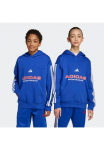 adidas Sportswear Sportinis megztinis su gobtuvu &raquo;HOUSE OF TIRO fliso KIDS Bliuzonas