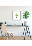 queence Paveikslas &raquo;Pteridophyta&laquo; Pflanzen | Pflanzenbilder | Dekoracija 1 Stk. dalys HD Premium Poster-Druck ir Holzrahmen