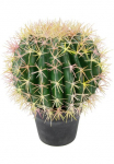 I.GE.A. Dirbtinis augalas &raquo;Kugelkaktus&laquo; 33 cm