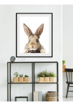 queence Paveikslas &raquo;Joona&laquo; Foto | naminiai gyvūnai | Kunst 1 Stk. dalys HD Premium Poster-Druck ir Holzrahmen