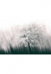 Architects Paper Fototapetas &raquo;Streaks Spring&laquo; Vlies Wand Schr&auml;ge