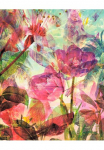 Komar Tapetai &raquo;Digitaldruck Vlies - Metropical - Gr&ouml;&szlig;e 200 x 250 cm&laquo; ra&scaron;tuotas glatt Wohnzimmer miegamojo kambario baldai
