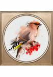 queence Paveikslas &raquo;Bunter Vogel II&laquo; Dekoracija | Kunst | Tiere | Vogelbilder | V&ouml;gel Fine Art-Print in Galeriequalit&auml;t