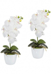 Creativ green Dirbtinis augalas &raquo;Orchidee Phalaenopsis&laquo; im Keramikinis indas