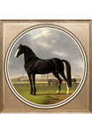 queence Paveikslas &raquo;Pferd&laquo; Dekoracija | Kunst | Pferde | Pferdebilder | Tiere Fine Art-Print in Galeriequalit&auml;t