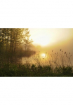 Papermoon Fototapetas &raquo;Nebelwaldsee&laquo;