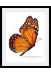 queence Paveikslas &raquo;Jalina&laquo; Insekten | Kunst | Schmetterlinge 1 Stk. dalys HD Premium Poster-Druck ir Holzrahmen