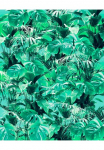 Komar Tapetai &raquo;Digitaldruck Vlies - Evergreen - Gr&ouml;&szlig;e 200 x 250 cm&laquo; ra&scaron;tuotas glatt Wohnzimmer miegamojo kambario baldai