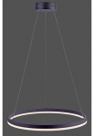 Paul Neuhaus Pakabinamas &scaron;viestuvas &raquo;TITUS&laquo; LED-Board 1 Stk. Warmwei&szlig; LED dimmbar Simply Dim Memory nach Trennung vom Netz