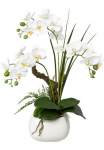 Creativ green Kunstorchidee &raquo;Deko-Orchidee Phalaenopsis im Keramiktopf&laquo;