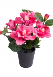 Botanic-Haus Dirbtinė gėlė &raquo;Hibiskus im Topf&laquo;