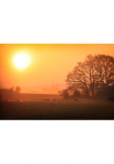 Papermoon Fototapetas &raquo;Sonniger nebliger Sonnenaufgang&laquo;