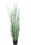 Creativ green Dirbtinė žolė &raquo;Grasbusch Cortaderia&laquo; in opulenter Gr&ouml;&szlig;e
