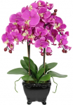 I.GE.A. Dirbtinė gėlė &raquo;K&uuml;nstliche Dirbtinė orchidėja in Dubenėlis Phalaenopsis Dirbtinė gėlė Blume&laquo; Kunstorchidee Deko Dekoblume Seidenblume