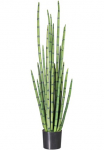 Creativ green Dirbtinis augalas &raquo;Sanseveria&laquo;