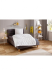 OTTO home Antklodė i&scaron; mikropluo&scaron;to &raquo;Mondschein antklodė 135x200 cm 155x220 cm 200x200 cm&laquo; lengvai F&uuml;llung Polyester 1 Stk. dalys Bettdecken Sommer Winter; allergiker tinka (Hausstauballergiker)