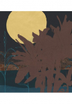 Komar Tapetai &raquo;Digitaldruck Vlies - Supermoon - Gr&ouml;&szlig;e 250 x 280 cm&laquo; ra&scaron;tuotas glatt Wohnzimmer miegamojo kambario baldai