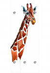 queence Prie&scaron;kambario kabykla &raquo;Giraffe&laquo; su 6 Kabliukas 50 x 120 cm