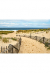 Papermoon Fototapetas &raquo;Cape Cod D&uuml;nen&laquo;