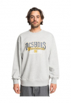 DC Shoes Sportinio stiliaus megztinis &raquo;Tailgate&laquo;