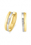 Orolino Pora auskarai &raquo;Gold 585 su 6 Brillanten zus. 003ct.&laquo;