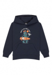 Quiksilver Bliuzonas &raquo;Graphics&laquo;