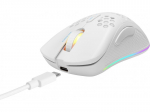 Žaidimų pelė DELTACO GAMING GAM-120, belaidė, 400-6400 DPI, RGB, balta