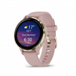 Sportinis laikrodis GARMIN Venu 3S, Dust Rose/Soft Gold